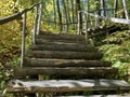 Close up of old wooden staircase in woodland. Stairs of wood on sunny day in park Royalty Free Stock Photo