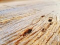 Close-up Old Wooden Table with Scraped Grainy Texture with Selective Focus