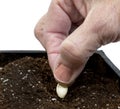 Close Up of Older Hand Gently Placing Seed Into Soil