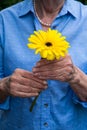 Close-up of older womans hand holding a yellow flower