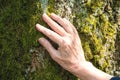 Close-up of older womans hand touching the bark of a tree