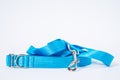 Close up ÃÂolorful blue dog collar and leash with silver metal fittings from silky tape. Pet supplies Royalty Free Stock Photo