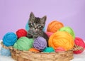 Kitten sitting in a basket of colorful yarn balls