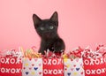 Black kitten reaching over row of valentine`s presents Royalty Free Stock Photo