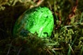 Green colored easteregg in the mossy grass