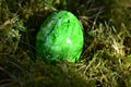 Green colored easteregg in the mossy grass