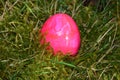 Pink colored easteregg in the mossy grass