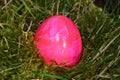 Pink colored easteregg in the mossy grass