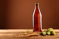 Close up brown beer bottle, hops, barley on table