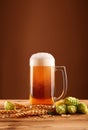 Close up beer glass, hops and barley over brown Royalty Free Stock Photo