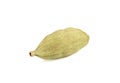 Close-up of one green cardamom pod on a white background. Royalty Free Stock Photo