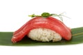 Close up one nigiri sushi with tuna on white
