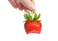 Hand holding fresh ripe red strawberry with bite missing, isolated Royalty Free Stock Photo