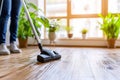 Close up one person cleaning the gardening room vacuum cleaner housekeeping home plants flooring sweeping herb apartment