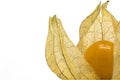 Close-up of one physalis fruit (Physalis peruviana)