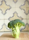 Close up of one piece of broccoli