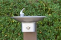 Outdoors drinking fountain close up