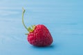 Close-up one single strawberry on blue wooden background. Royalty Free Stock Photo