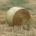 Close-Up of One Straw Bale in a Field