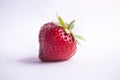 Single strawberry with petiole and leaves