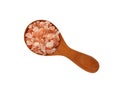 Close up wooden scoop spoon of pink Himalayan salt Royalty Free Stock Photo