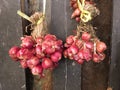 Onion hanging on wood wall