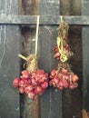 Onion hanging on wood wall