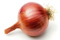 Close Up of an Onion on a White Background A detailed view of a single onion, showing its layers and texture, set against a plain