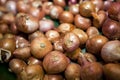 Close-up of onions in grocery store Royalty Free Stock Photo