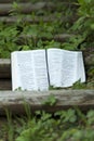 Close-up of open Bible in Isaiah chapter 40 outdoors on wooden stair step.