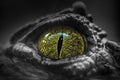 Close-Up of the Eye of a Crocodile Royalty Free Stock Photo