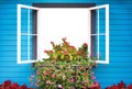 Open window with colorful flowers and bright blue planks on wall background Royalty Free Stock Photo