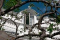 Close-up. An open window at the top of the house. Facade of an old white building. Trees and plants in the summer. Royalty Free Stock Photo