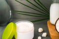 Close up opened cream for body skincare with coconut oil, fresh coconuts, palm leaf, bottle with coconut butter and Royalty Free Stock Photo