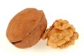 Walnuts and walnut kernel close-up on white background