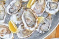 A bucket of ice filled with oysters.