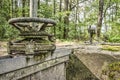 Abandoned machinery in the forest Royalty Free Stock Photo