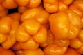 Close-up of orange bell pepper Royalty Free Stock Photo