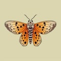 Close-up of an orange and black butterfly, with its wings spread out. It is positioned on top of green background Royalty Free Stock Photo