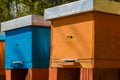 Close up of orange and blue wooden beehives. Royalty Free Stock Photo