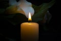 Close up of orange candle flame and lily flowers Royalty Free Stock Photo