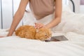 Close up orange cat lie on tablet that put on bed and cat owner also pat the cat to make it relax and happy to sleep Royalty Free Stock Photo