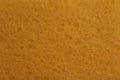 Close-up Of An Orange-colored Background Featuring A Textured Sponge Material. Royalty Free Stock Photo