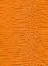 Close Up Orange Crocodile Skin High Resolution Texture Background. Royalty Free Stock Photo