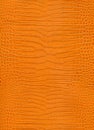 Close Up Orange Crocodile Skin Texture Background. Royalty Free Stock Photo