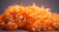 a close up of an orange fluffy object