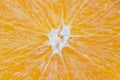 Close up of orange fruit texture slice orange background