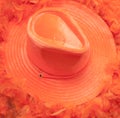 Close up orange hat and boa as tipical accessories on the Koningsdag in Amsterdam. The Netherlands.