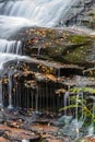 Close up of orange leaves in a waterfall in autumn Royalty Free Stock Photo