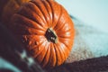 Close up orange pumpkin on brown plaid background. Fall symbol wallpaper, autumn cosiness. Thanksgiving Day concept